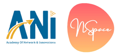 ANI NSpace logo